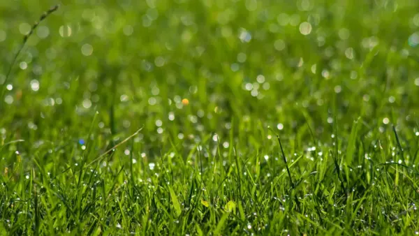 Background Hero 1 16x9 (1)