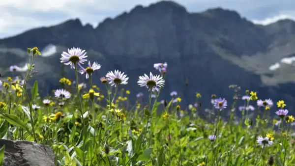 Background Hero 1 16x9 (3)